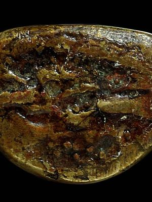 LP Nern, BE 2537 Thai Buddhist Amulets