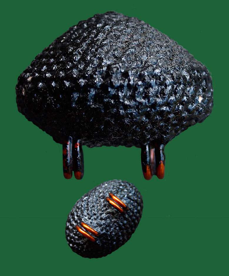 Bia Gae Tak Cheuak, 1st Gen, LP Jurah Thai Buddhist Amulets