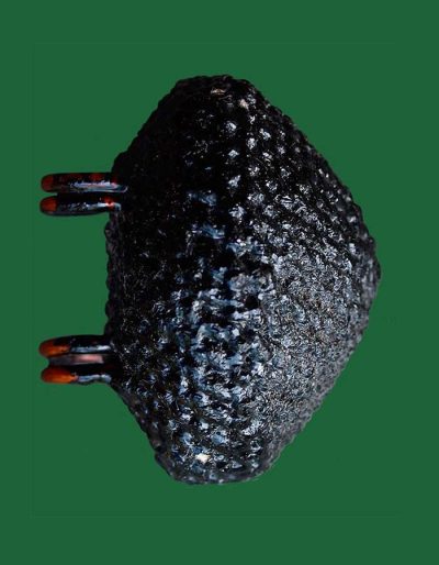 Bia Gae Thai Buddhist Amulets